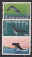 Turks & Caicos - 1983 - N°Yv. 627 à 629 - Whales - Neuf Luxe ** / MNH / Postfrisch - Baleines