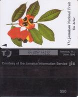 185/ Jamaica; The Ackee, CP 83JAMB - Giamaica