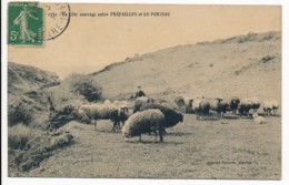 CPA 44 La Côte Sauvage Entre Préfailles Et Le Porteau Berger Et Moutons - Préfailles