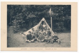 CPA 49 ANGERS Rare Colonie Saint Gabriel Patrouille Des Lions Scoutisme Occupation Extrême Droite ? Collaboration ? - Angers