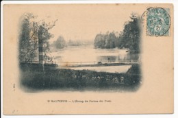 CPA 89 SAINT SAUVEUR EN PUISAYE Carte Rare Etang De L'orme Du Pont - Saint Sauveur En Puisaye