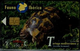 SPAIN 1999 PHONECARD TURTLES USED VF!! - Schildkröten