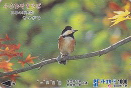 Carte JAPON - Série OISEAUX 3/16 - Animal OISEAU - MESANGE - BIRD JAPAN Prepaid Metro Card - VOGEL - 4545 - Uccelli Canterini Ed Arboricoli