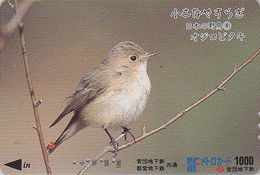 Carte JAPON - Série OISEAUX 4/16 - OISEAU - GOBEMOUCHE - BIRD JAPAN Prepaid Metro Card - VOGEL - 4546 - Zangvogels