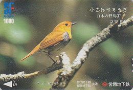 Carte JAPON - Série OISEAUX 7/16 - Animal - OISEAU - ROUGE GORGE - ROBIN BIRD JAPAN Prepaid Metro Card - 4549 - Uccelli Canterini Ed Arboricoli