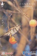 Carte JAPON - Série OISEAUX 10/16 - Animal - OISEAU - GRIVE & Fruit KAKI - BIRD JAPAN Prepaid Metro Card - VOGEL - 4551 - Pájaros Cantores (Passeri)