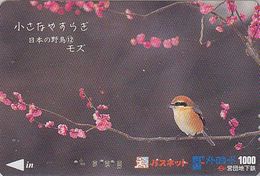 Carte JAPON - Série OISEAUX 12/16 - Animal -  OISEAU - PIE GRIECHE - SHRIKE BIRD JAPAN Prepaid Metro Card - VOGEL - 3551 - Passereaux