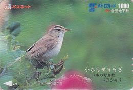 Carte JAPON - Série OISEAUX 13/16 - Animal - OISEAU - FAUVETTE - WARBLER BIRD JAPAN Prepaid Metro Card - 4552 - Sperlingsvögel & Singvögel