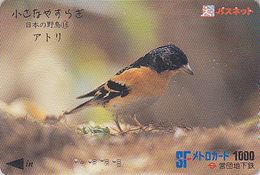 Carte JAPON - Série OISEAUX 16/16 - Animal - OISEAU - PINSON DU NORD - FINCH BIRD JAPAN Prepaid Metro Card - VOGEL  4553 - Zangvogels