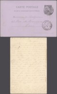 GUADELOUPE EP DE POINTE A PITRE 10/04/1891 VERS PARIS (DD) DC-8014 - Covers & Documents