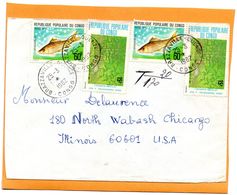 Congo Cover Mailed - Lettres
