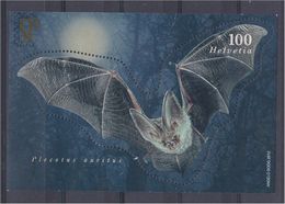 Helvetia 2012 Suisse Switzerland Bat Fauna Faune Animal Mammals Oreillard Brun Plecotus Auritus Chauve-souris - Bats