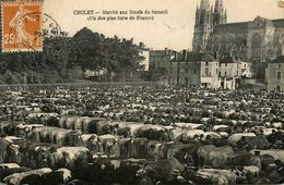 Cholet * Marché Aux Boeufs Du Samedi * Un Des Plus Fort De France * Foire - Cholet