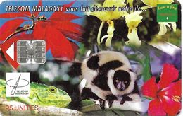 @+ TC De Madagascar : Nature Of Madagascar - 25U -  SC7 - 600 000ex ( Ref : MDG-19 ) - Madagascar