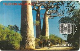 @+ TC De Madagascar : Baobabs - 25U -  SC7 - 900 000ex ( Ref : MDG-37 ) - Madagaskar