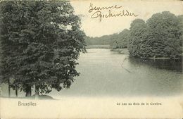 028 506 - CPA - Belgique - Brussels - Bruxelles - Lac Du Bois De La Cambre - Forêts, Parcs, Jardins