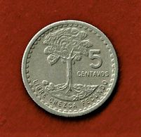 GUATEMALA / 5 CENTAVOS / 1975 - Guatemala