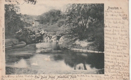 ***** PRESTON  The Duck Pond Avenham Park -  Stamped - Other & Unclassified
