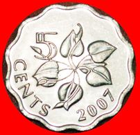 · LILY: SWAZILAND ★ 5  LILY: SWAZILAND ★ 5 CENTS 2007! MINT LUSTER! LOW START★NO RESERVE! Mswati III (1986-) - Swasiland