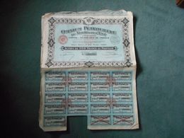 10 Actions OMNIUM PETROLIFERE Du NORD Et De L'EST - 500 Francs - 1927 - Aardolie