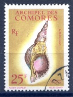 Archipel Des Comores N°24 Oblitéré - (F514) - Usados