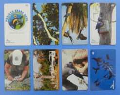 Brasil Brazil Parrot Hyacinth Macaw X8 Complete Set Cards Bird Oiseaux Vogel Birds Parrots Projeto Arara Azul - Loros