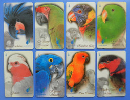 Singapore X8 Set Complete Bird Parrot Macaw Oiseaux Birds Galah Conure Lory Eclectus Cockatoo - Papegaaien & Parkieten