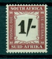 SOUTH AFRICA 1950 Mi P 44** Postage Due – High Value [L2504] - Segnatasse