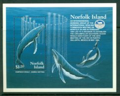 NORFOLK ISLAND 1995 Mi BL 15** Whales [A1667] - Baleines