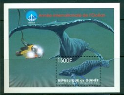 GUINEA 1998 Mi BL 548** International Year Of The Ocean - Whales [A1856] - Baleines