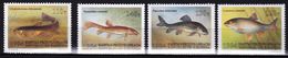 KIRGHIZISTAN 1994    Poissons   Poisson Chat, Naseux De Smidt, Lochée Tachetée, Poisson Osman  (4-4) MNH - Kirgisistan