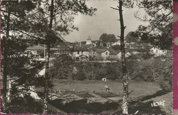 D40 - CASTETS DES LANDES - Un Coin Du Village - Castets