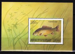 KIRGHIZISTAN 1994    Poissons     Carpe   Bloc Feuillet  MNH - Kirgisistan