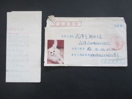 VR China 1960er Jahre Umschlag Mit Weißer Katze. Roter Stempel. Brief Mit Inhalt! - Lettres & Documents