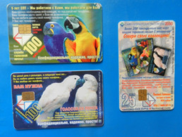 Russia Bird X3 Hyacinth Macaw Cockatoo Parrot Oiseaux Vogel Birds Parrots - Perroquets