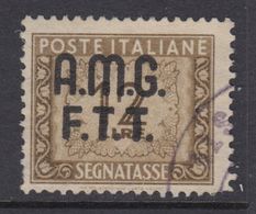 Trieste Zona A - AMG-FTT - Segnatasse N.13 - Cat. 110 Euro  - Usato - Luxus Postfrisch - Segnatasse
