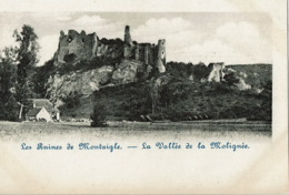Vallée De La Molignée Ruines De Montaigle - Onhaye