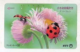 JAPON TELECARTE COCCINELLE INSECTE - Ladybugs