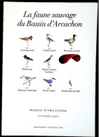 Parapente - Humour Faune Sauvage Du Bassin D'Arcachon - Publicité Office Du Tourisme - Parachutisme