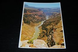 16006-             ARIZONA, COLORADO RIVER THROUGH THE GRAND CANYON - Grand Canyon