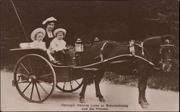 ! Alte Ansichtskarte, Adel, Royalty, Haus Braunschweig, Herzogin Viktoria Luise, Prinzen, Kutsche, Pferd, Horse - Koninklijke Families