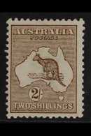 1913  2s Brown, Wmk "Wide Crown", Kangaroo, SG 12, Very Fine And Fresh Mint. For More Images, Please Visit Http://www.sa - Sonstige & Ohne Zuordnung