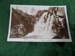 VINTAGE UK SCOTLAND: STRATHPEFFER Salmon Leaping The Falls Of Rogie Sepia M&L - Ross & Cromarty