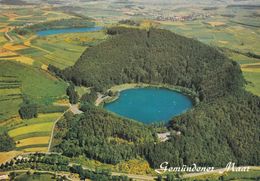 (ST195) - DAUN (Eifel, Germania) - Gemundener Maar - Daun