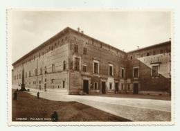 URBINO - PALAZZO DUCALE - NV   FG - Urbino