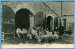 12 -   Aveyron   -Domaine De Tiergues La Traite (N0543) - Altri & Non Classificati