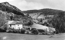 Les Rousses          39        Route De Morez Aux Rousses       ( Voir Scan) - Autres & Non Classés