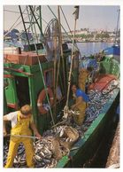 CONCARNEAU--1989--Retour De Pêche Des Sardiniers (très Animée) ....timbre..cachet - Concarneau