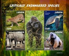 Liberia. 2020 Critically Endangered Species. Gorila. (0217a) OFFICIAL ISSUE - Gorilles