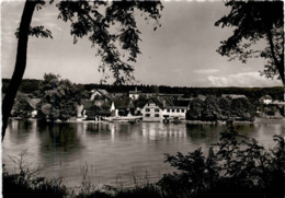 Ellikon Am Rhein - Gasthaus Z. Schiff (41119) - Ellikon An Der Thur